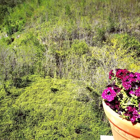 Donna Rosa Cava deʼ Tirreni